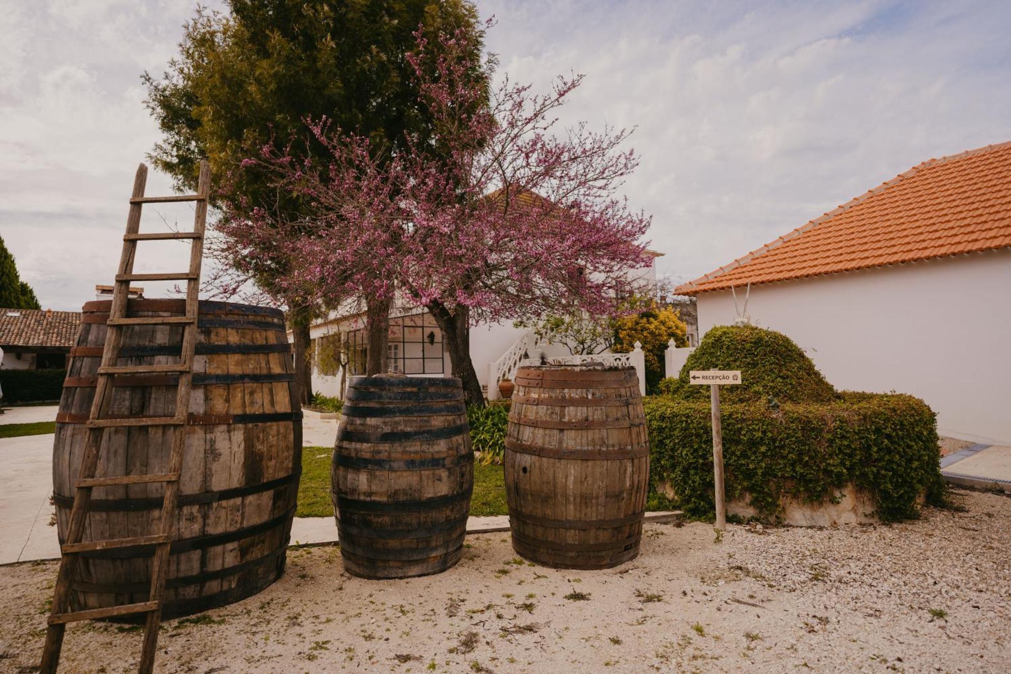 Hotel Quinta Carvalhas - The Green Farm Casevel Exterior foto