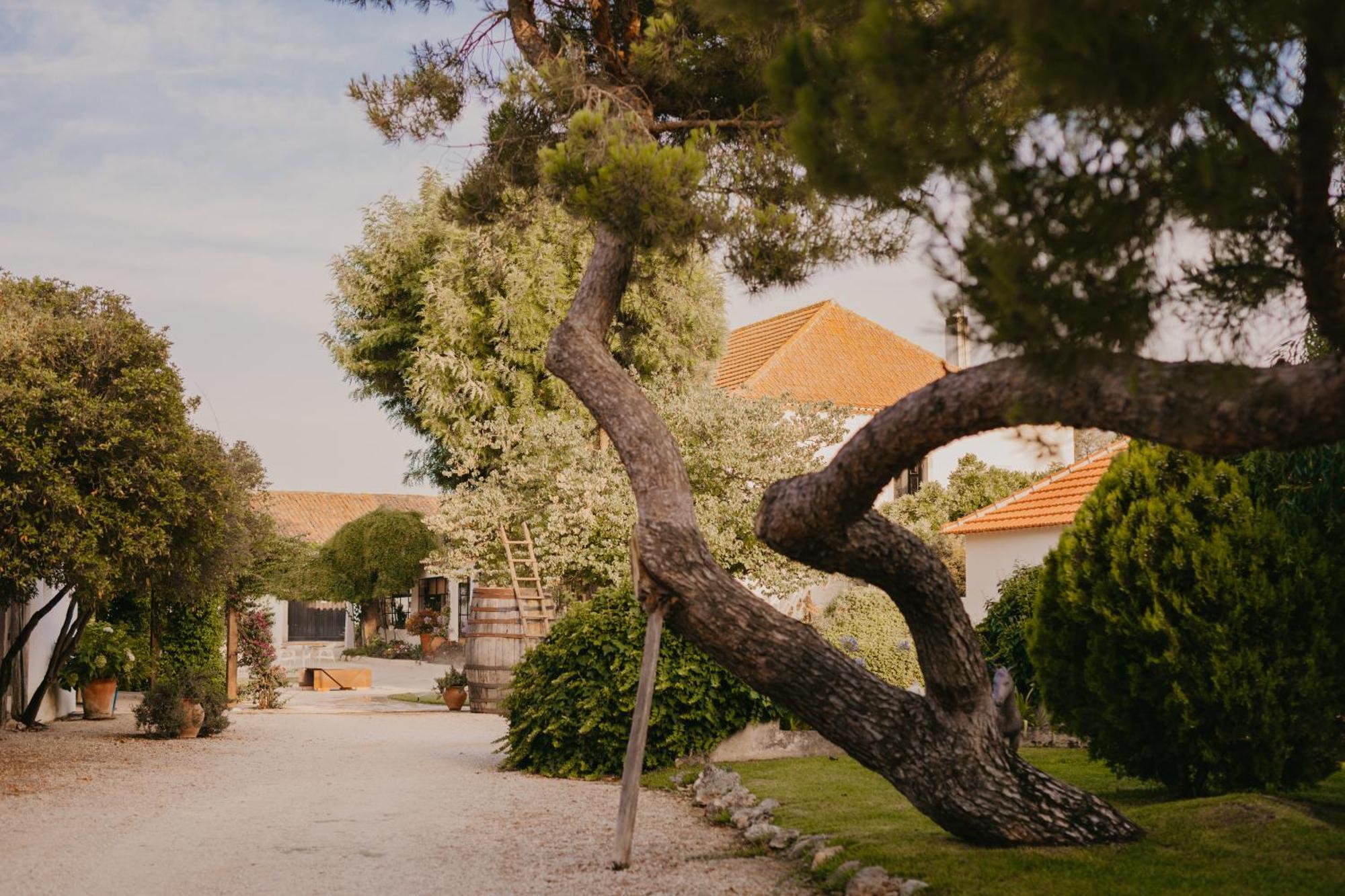 Hotel Quinta Carvalhas - The Green Farm Casevel Exterior foto