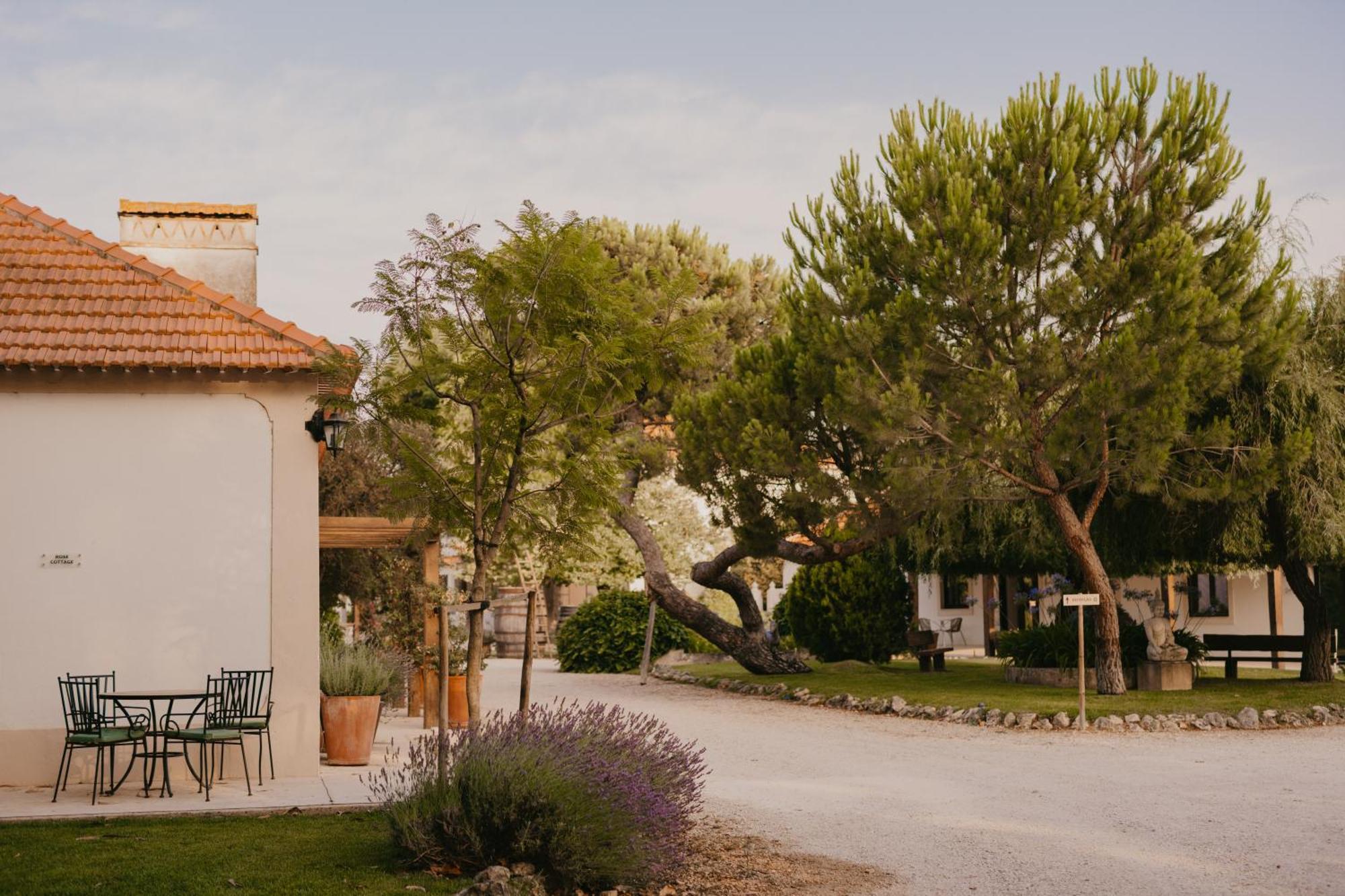 Hotel Quinta Carvalhas - The Green Farm Casevel Exterior foto